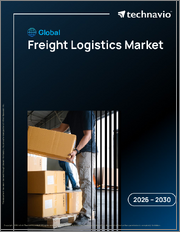 Global Freight Logistics Market 2026-2030