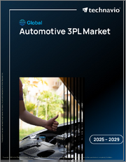 Global Automotive 3Pl Market 2025-2029