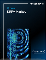 Global Drfm Market 2026-2030