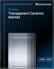 Global Transparent Ceramic Market 2026-2030