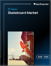 Global Skateboard Market 2026-2030