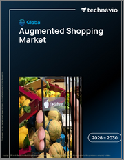Global Augmented Shopping Market 2026-2030