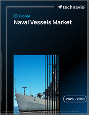 Global Naval Vessels Market 2026-2030
