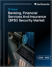 Global Banking, Financial Services And Insurance (BFSI) Security Market 2026-2030