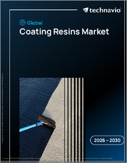 Global Coating Resins Market 2026-2030