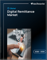 Global Digital Remittance Market 2026-2030