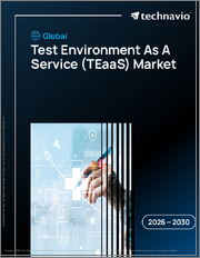 Global Test Environment As A Service (TEAAS) Market 2026-2030