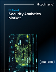 Global Security Analytics Market 2026-2030
