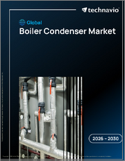 Global Boiler Condenser Market 2026-2030