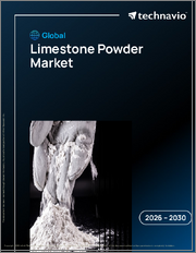 Global Limestone Powder Market 2026-2030