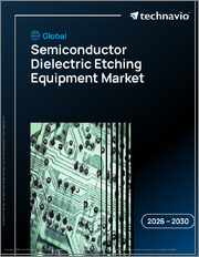 Global Semiconductor Dielectric Etching Equipment Market 2026-2030