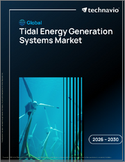 Global Tidal Energy Generation Systems Market 2026-2030