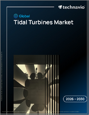 Global Tidal Turbines Market 2026-2030