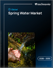 Global Spring Water Market 2026-2030
