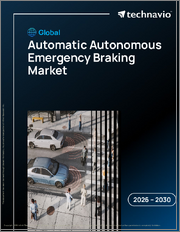 Global Automatic Autonomous Emergency Braking Market 2026-2030
