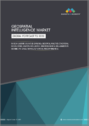Geospatial Intelligence Market by GeoAI, Geospatial Analytics, Acquisition Systems, Technology - Global Forecast to 2030