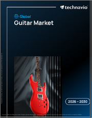 Global Guitar Market 2026-2030