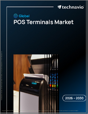 Global Pos Terminals Market 2026-2030