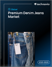 Global Premium Denim Jeans Market 2025-2029