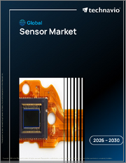 Global Sensor Market 2026-2030