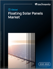 Global Floating Solar Panels Market 2025-2029