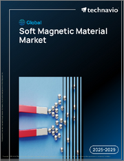 Global Soft Magnetic Material Market 2025-2029