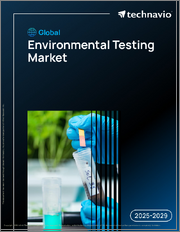 Global Environmental Testing Market 2025-2029