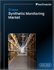 Global Synthetic Monitoring Market 2025-2029