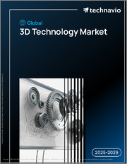 Global 3D Technology Market 2025-2029