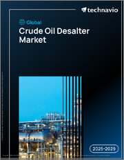Global Crude Oil Desalter Market 2025-2029