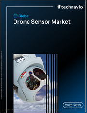 Global Drone Sensor Market 2025-2029
