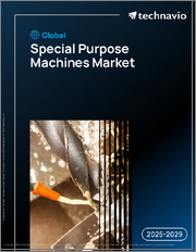 Global Special Purpose Machines Market 2025-2029