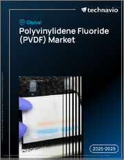 Global Polyvinylidene Fluoride (PVDF) Market 2025-2029