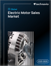 Global Electric Motor Sales Market 2025-2029