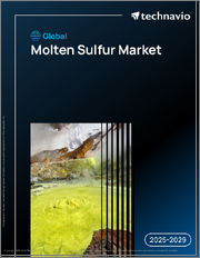 Global Molten Sulfur Market 2025-2029