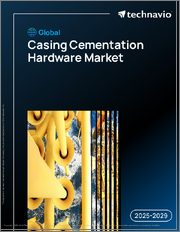 Global Casing Cementation Hardware Market 2025-2029