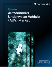 Global Autonomous Underwater Vehicle (AUV) Market 2025-2029