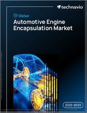 Global Automotive Engine Encapsulation Market 2025-2029
