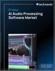 Global AI Audio Processing Software Market 2025-2029