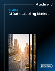 Global AI Data Labeling Market 2025-2029