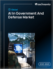 Global AI In Government And Defense Market 2025-2029