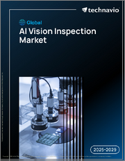 Global AI Vision Inspection Market 2025-2029