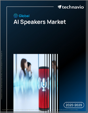 Global AI Speakers Market 2025-2029