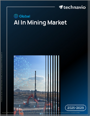 Global AI In Mining Market 2025-2029