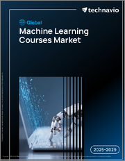 Global Machine Learning Courses Market 2025-2029