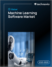 Global Machine Learning Software Market 2025-2029