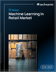 Global Machine Learning In Retail Market 2025-2029
