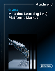 Global Machine Learning (ML) Platforms Market 2025-2029
