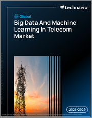 Global Big Data And Machine Learning In Telecom Market 2025-2029