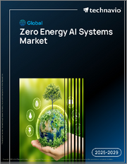 Global Zero Energy AI Systems Market 2025-2029